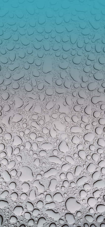 Water Droplets On A Glass Surface Wallpaper