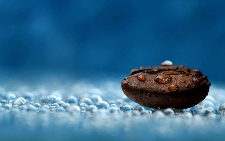 Water Droplets On Coffee Bean Wallpaper