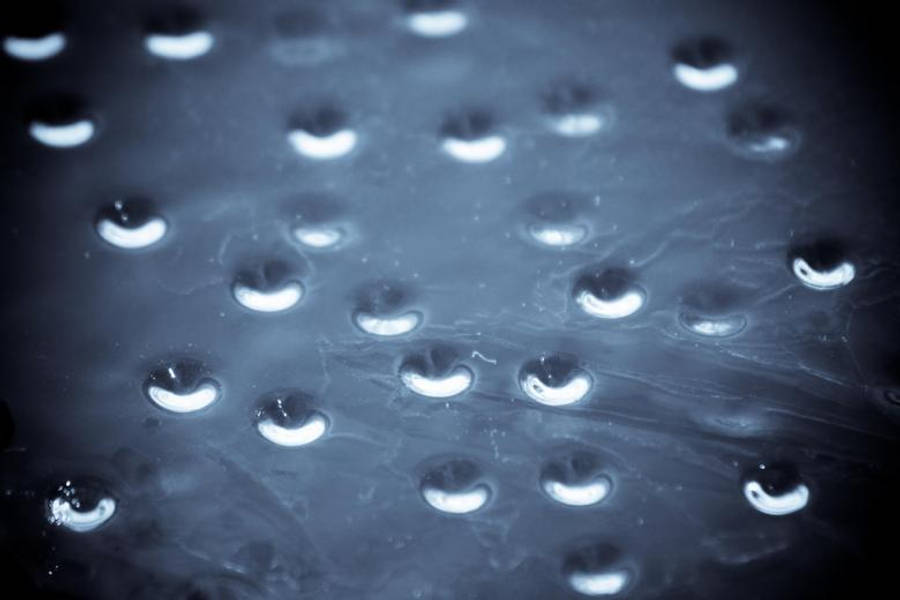 Water Droplets On Glass Wallpaper