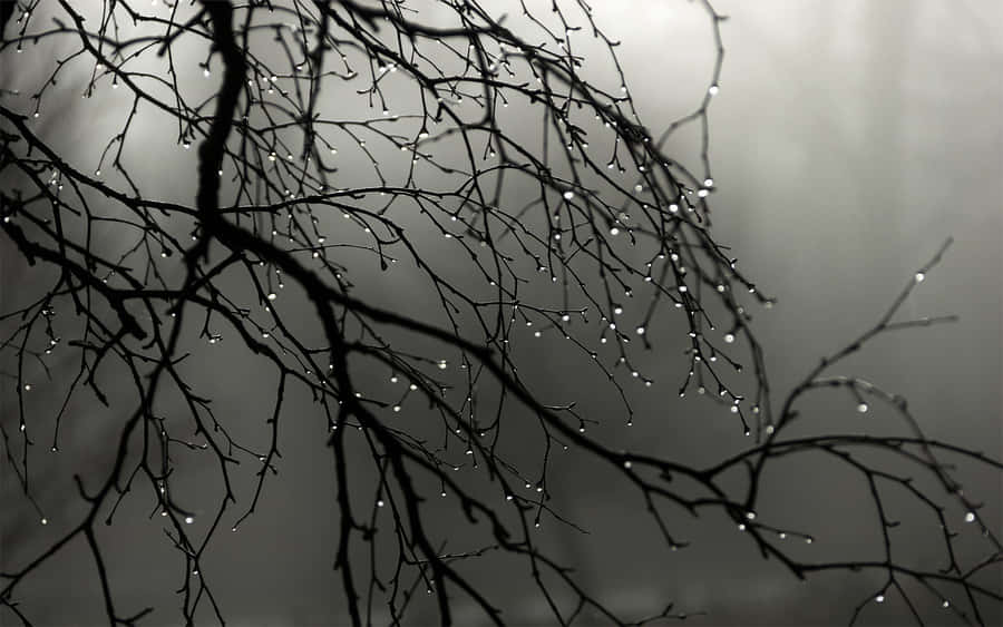 Water Drops In Grey Desktop Wallpaper