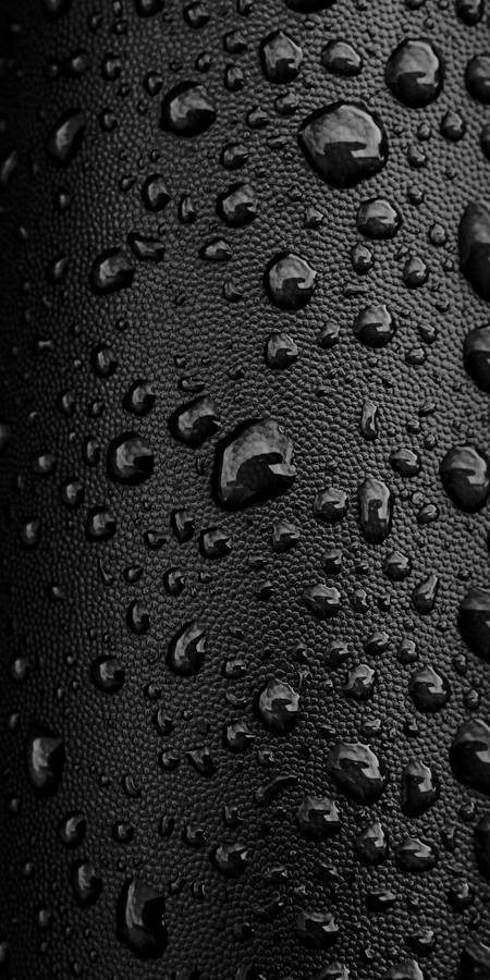 Water Drops On A Black Leather Surface Wallpaper