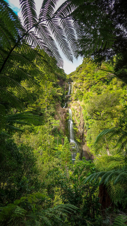 Waterfalls Iphone Jungle Wallpaper