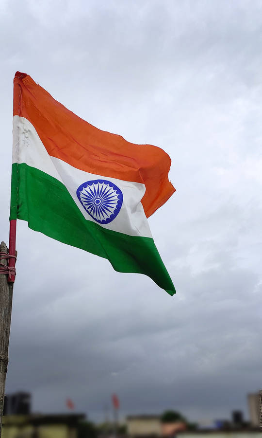 Waving On Pole Indian Flag 4k Wallpaper