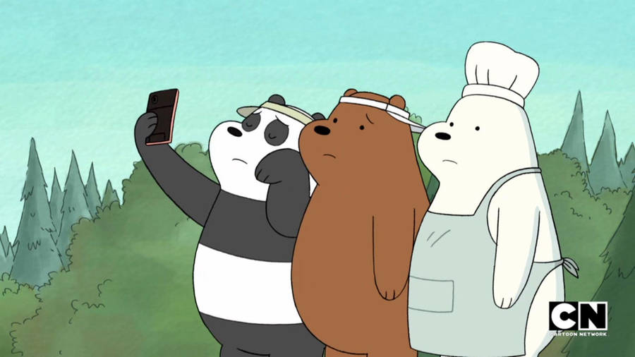 We Bare Bears Sad Selfie Wallpaper