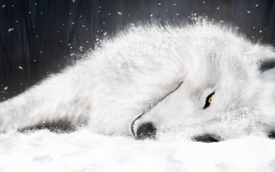 Weakened White Fox Art Wallpaper