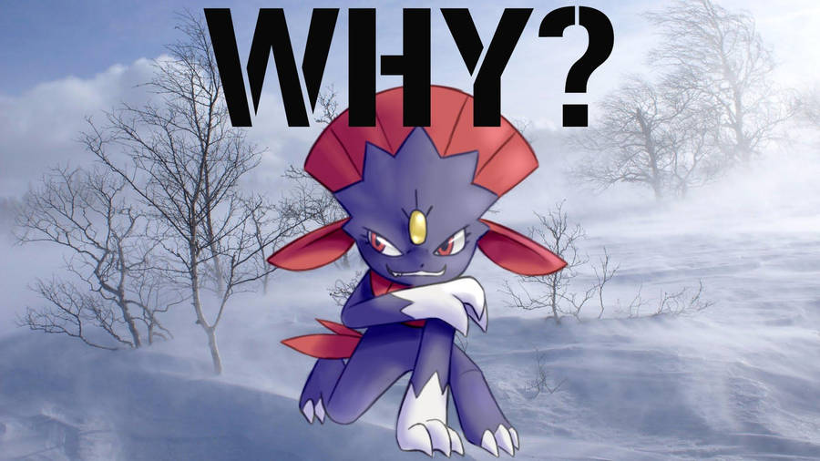 Weavile Hurt On Snow Wallpaper