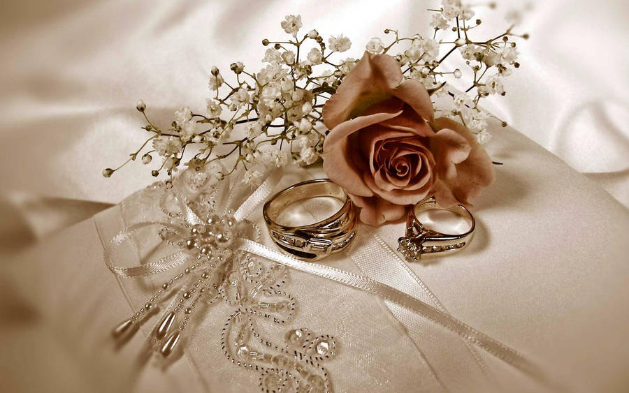 Wedding Rose And Rings Wallpaper