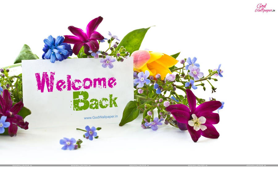 Welcome Back Floral Design Wallpaper