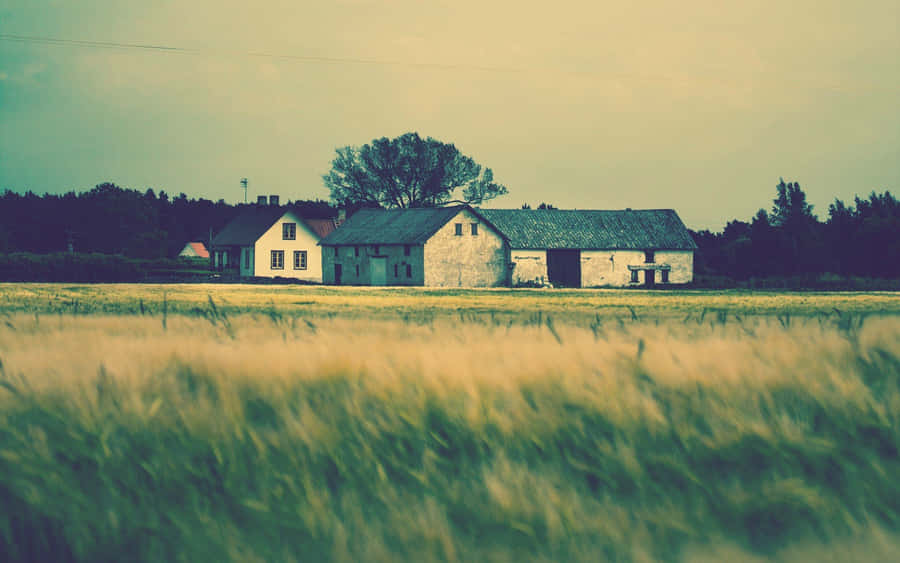 Welcome To The Farmhouse Wallpaper
