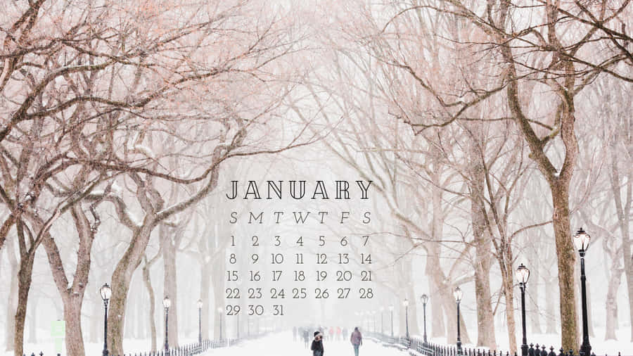 Welcome To The New Year! Wallpaper