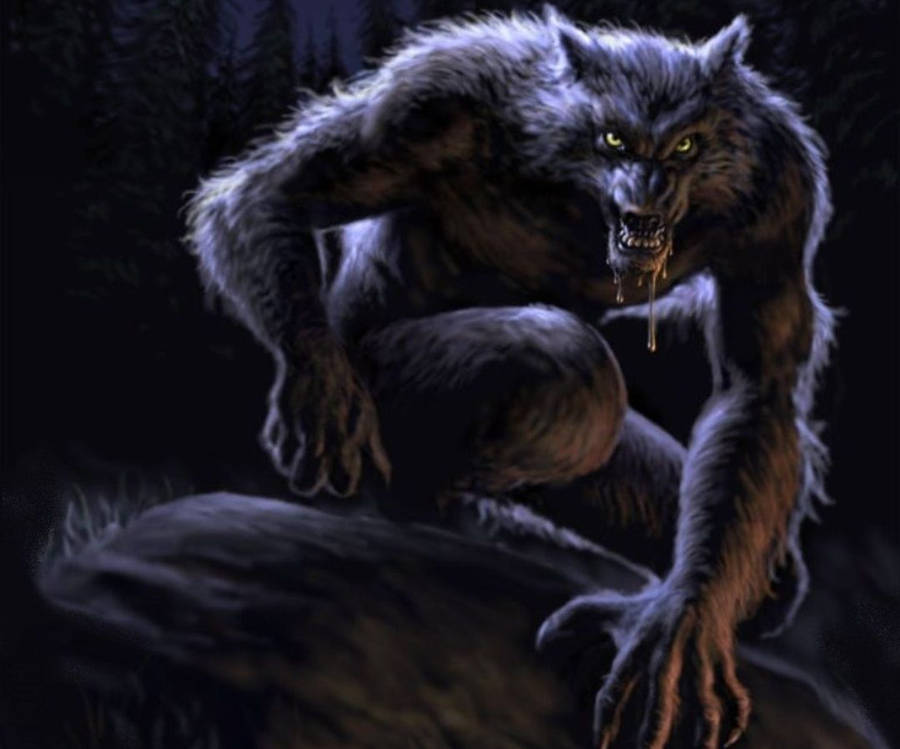 Werewolf In The Forest Wallpaper
