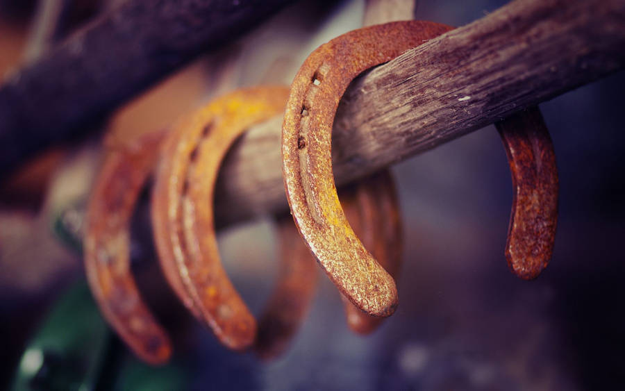 Western Rusted Horseshoe Wallpaper