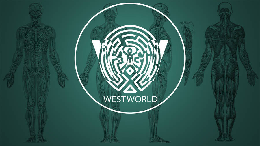 Westworld Logo With Human Anatomy Wallpaper