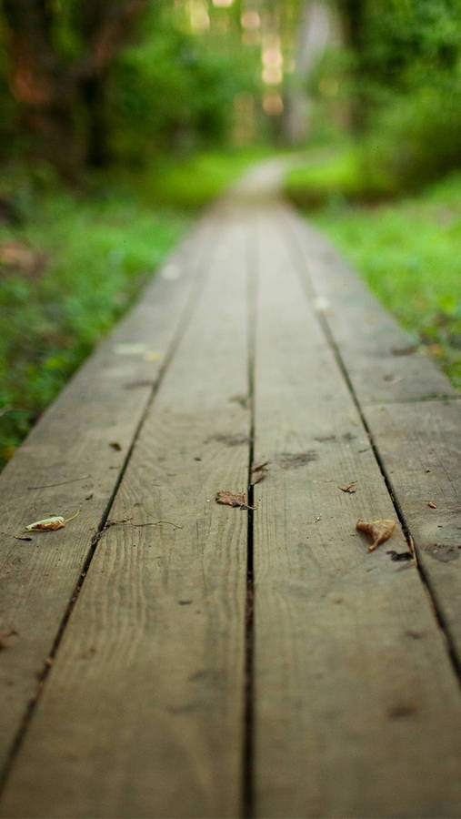 Whatsapp Chat Wooden Pathway Wallpaper