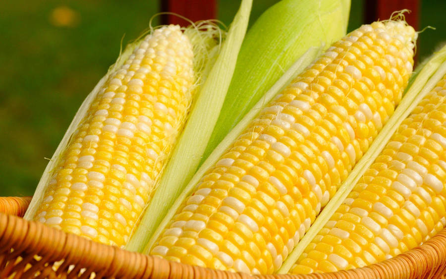 White And Yellow Corns In Basket Wallpaper