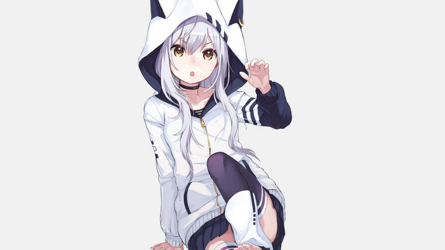 White Anime Girl With Cat Hoodie Wallpaper