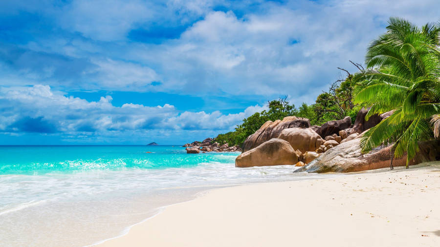 White Beach In Seychelles Wallpaper