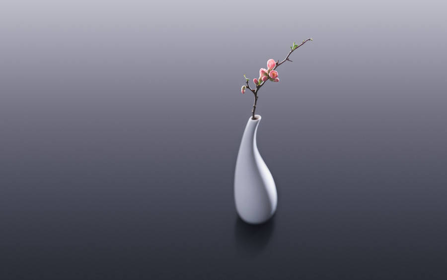 White Ceramic Flower Vase With Cherry Blossom Wallpaper