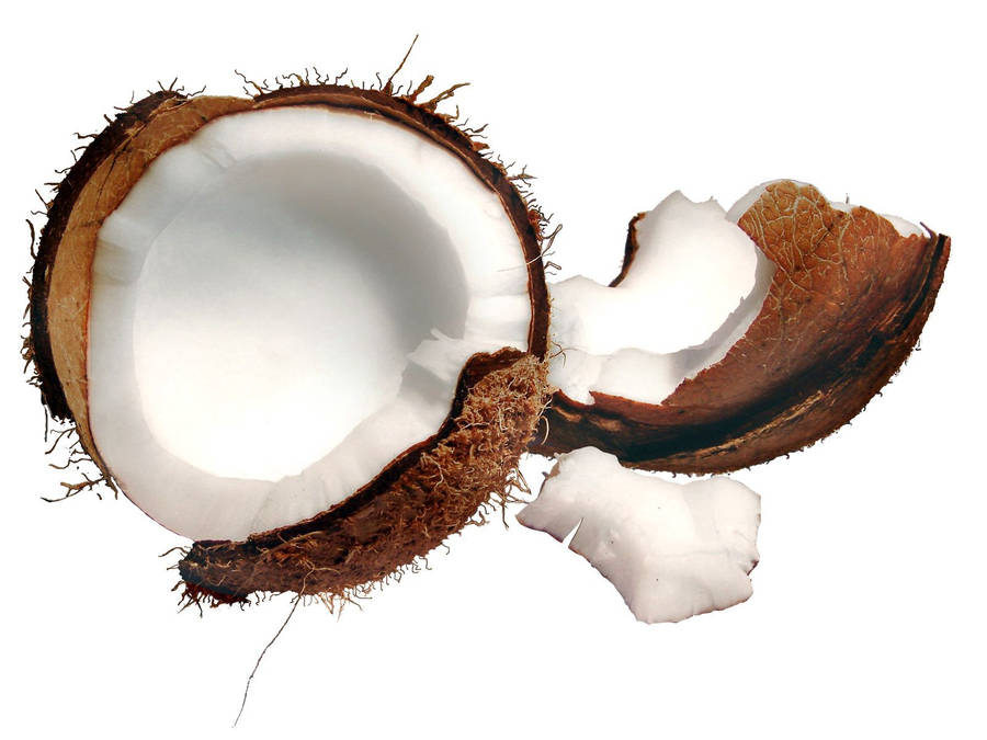 White Coconut Fruit Meat Wallpaper