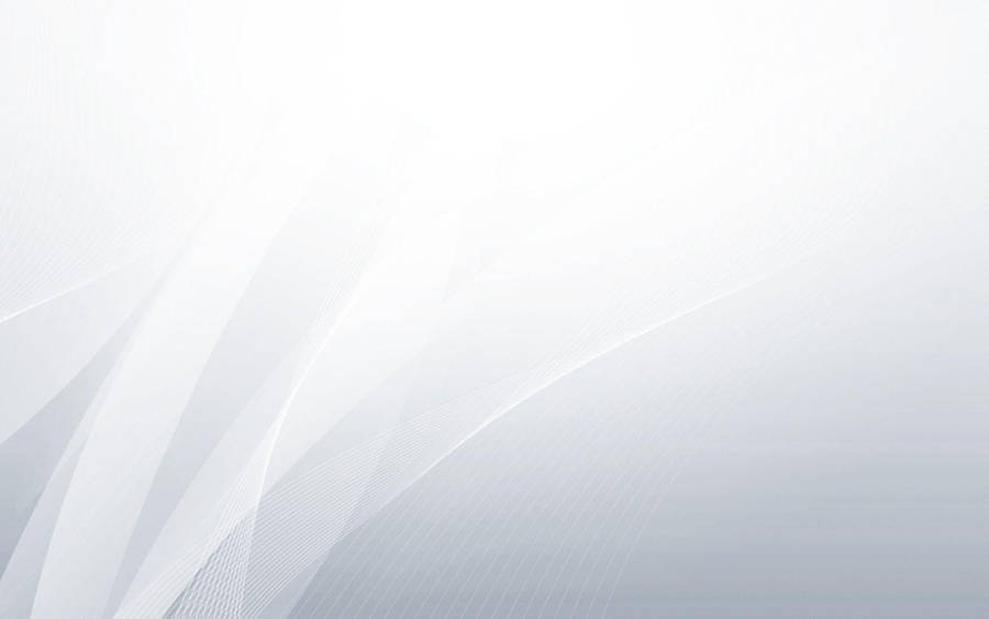 White Color Curved Lines Wallpaper