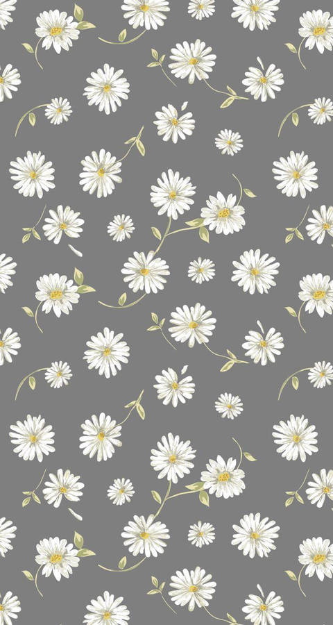 White Daisy Aesthetic Gray Wallpaper