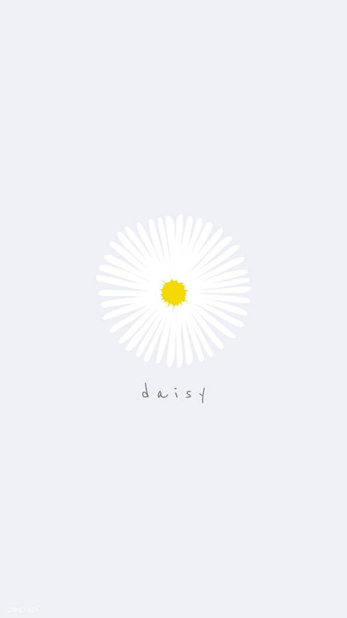 White Daisy Flower Iphone Art Wallpaper