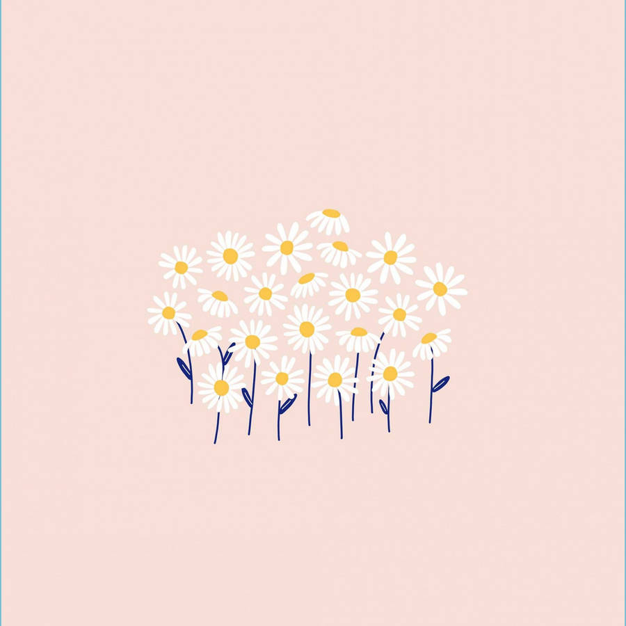 White Daisy On Pink Pastel Wallpaper