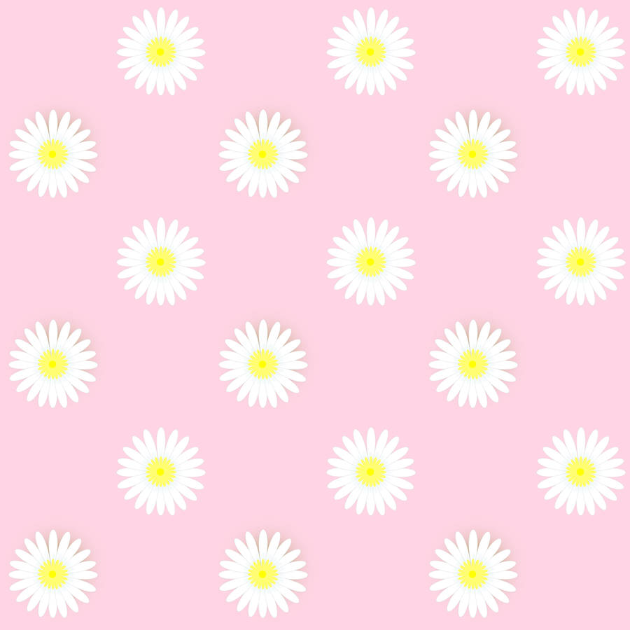White Daisy Patterned In Pastel Pink Wallpaper