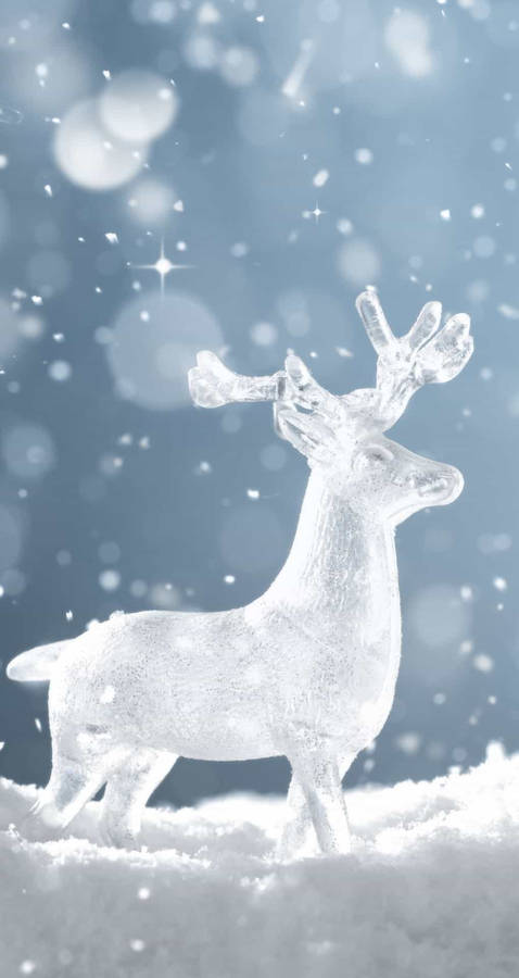 White Deer Winter Iphone Wallpaper