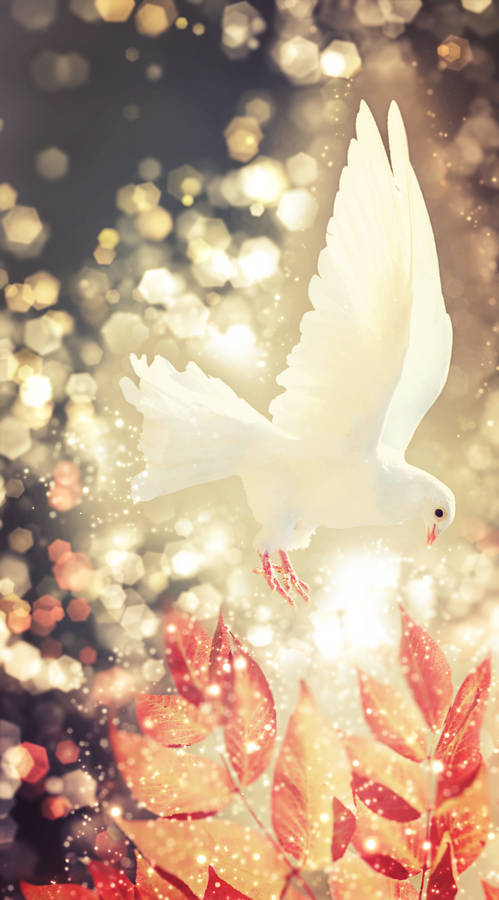 White Dove Bokeh And Autumn Leaves Wallpaper