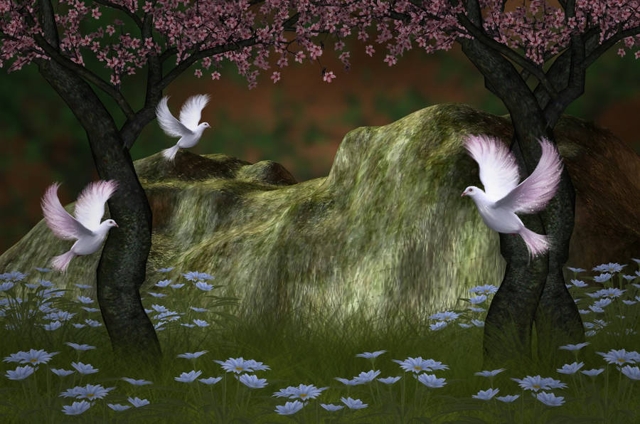 White Doves Sakura Trees Wallpaper