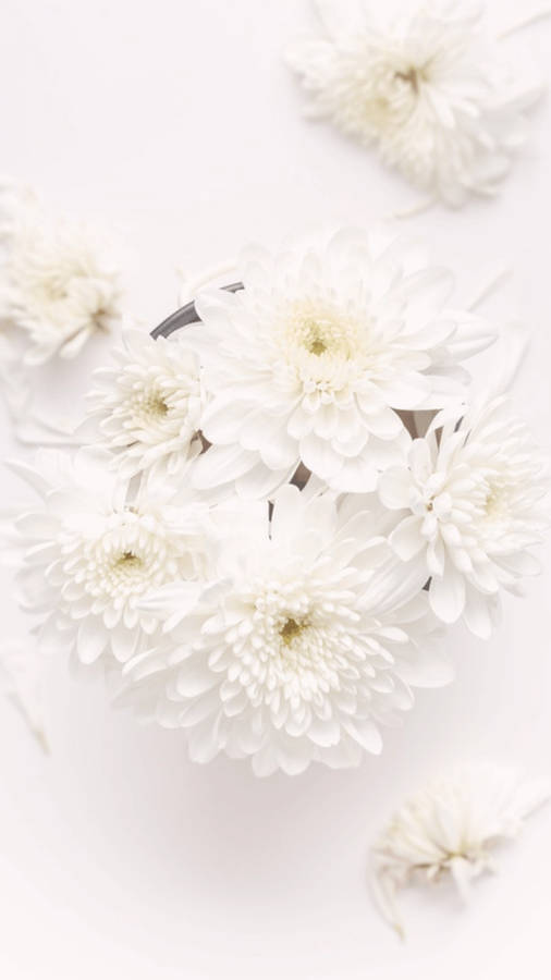 White Flower Bouquet For Iphone Wallpaper