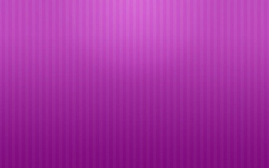 White Lines In Violet Plain Color Wallpaper