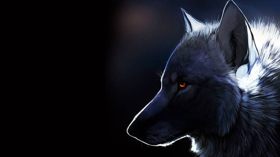 White Nape Black Wolf Wallpaper