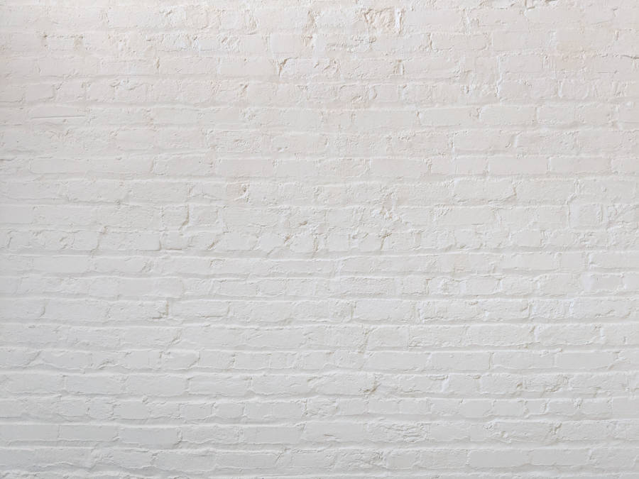 White Pattern Brick Flemish Bond Wallpaper