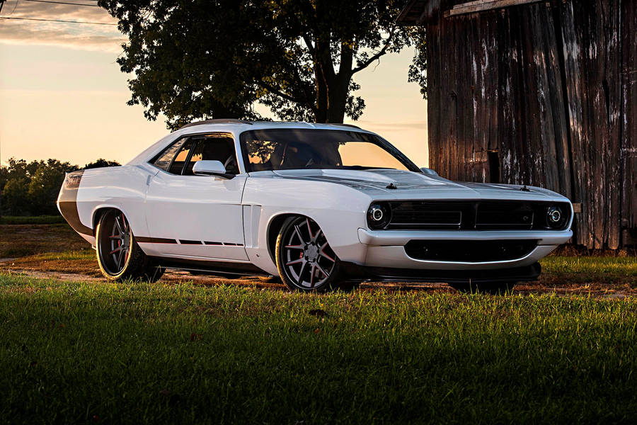 White Plymouth Barracuda Wallpaper