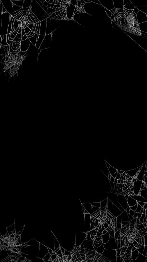 White Spider Webs Gothic Iphone Wallpaper