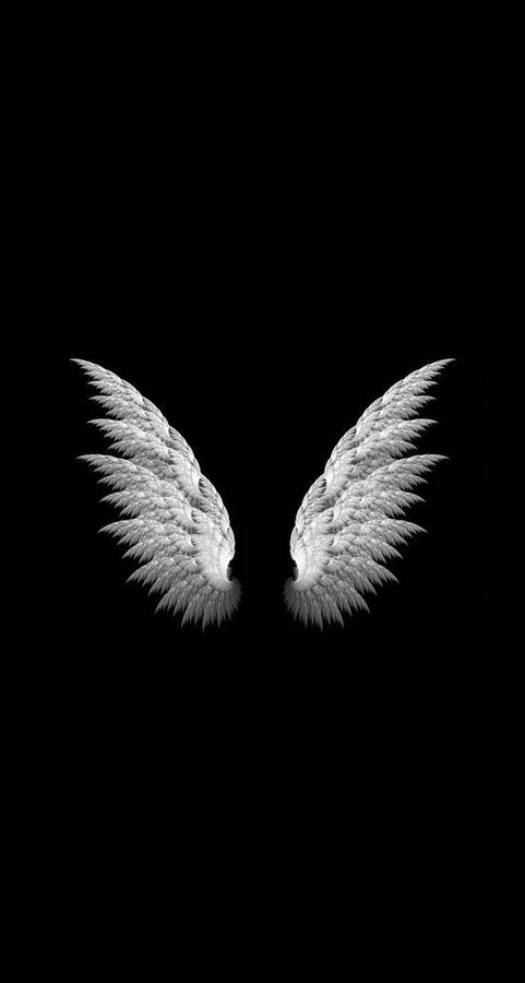 White Wings In Cool Black Background Wallpaper