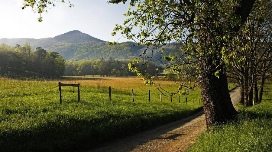 Wide Grass Field Within The Great Smoky Mountains Wallpaper
