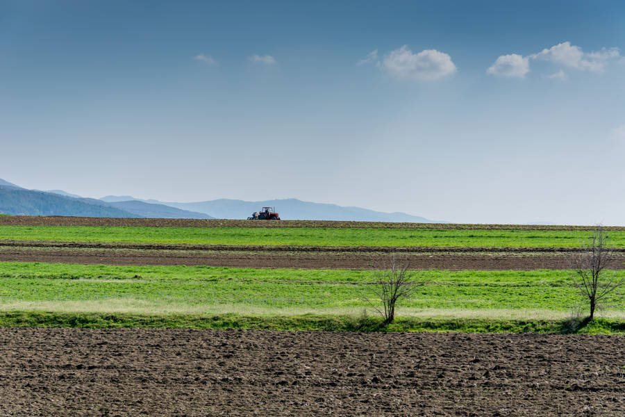 Wide Green Fields In Kosovo Wallpaper