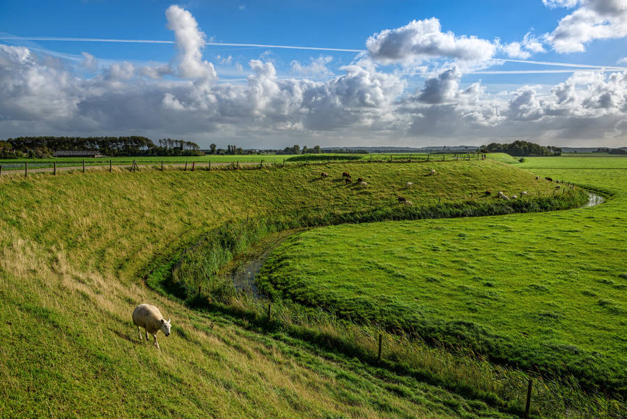 Wide Green Meadows In Sint Maarten Wallpaper