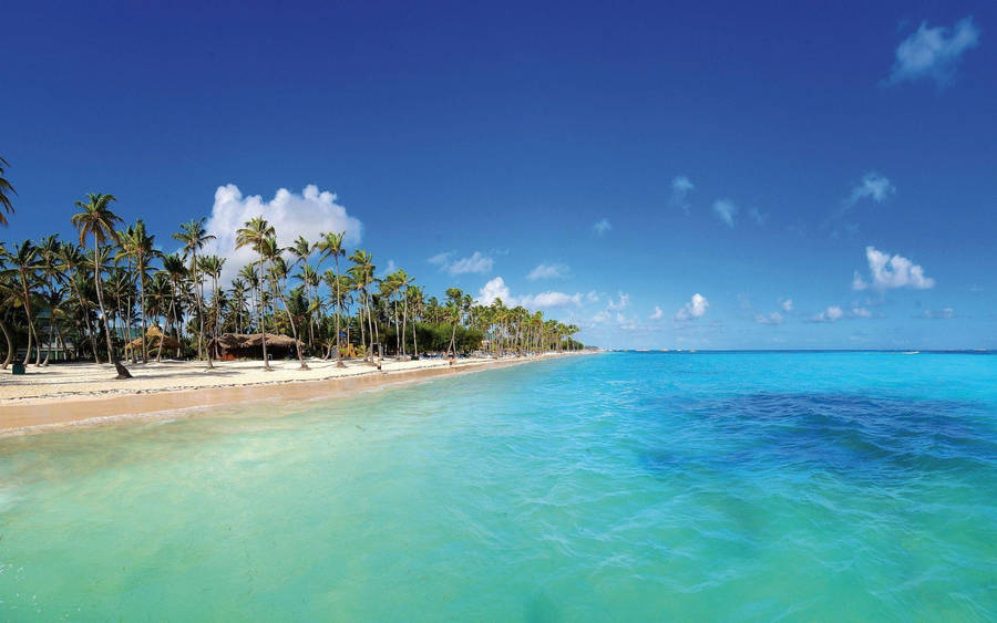 Wide Shot Dominican Republic Ocean Wallpaper