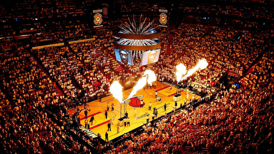 Wild Miami Heat Stadium Wallpaper