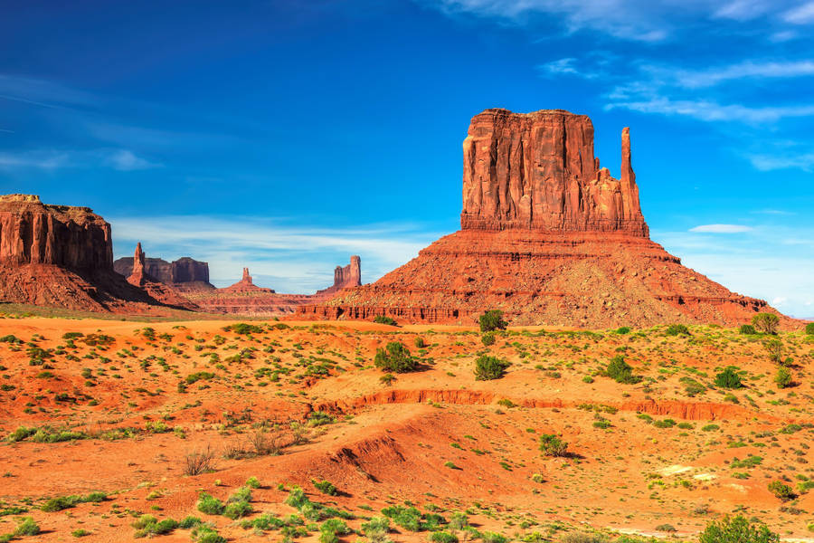 Wild Shrubs At Monument Valley Wallpaper