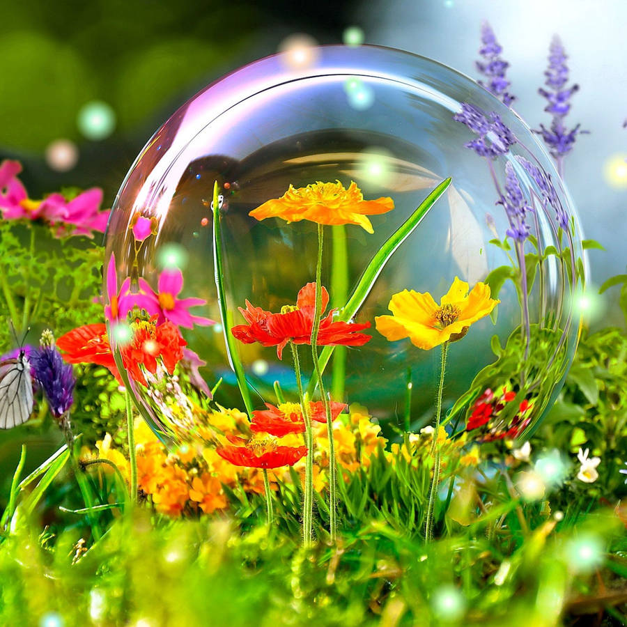 Wildflowers Bubble Live 3d Wallpaper