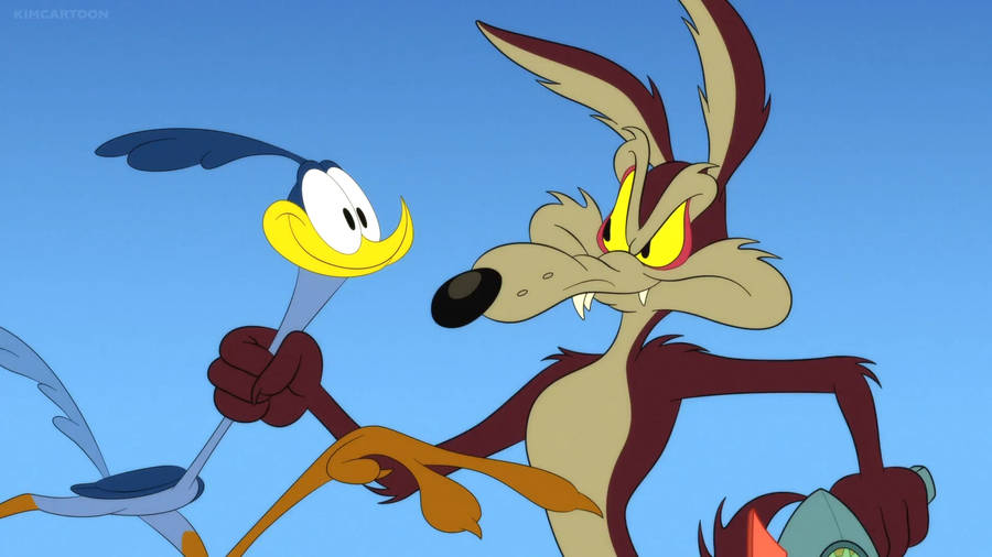 Wile E Coyote And Road Runner Wallpaper