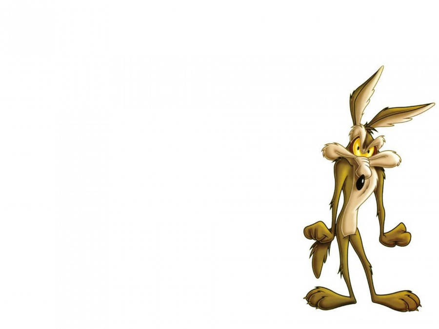 Wile E Coyote Minimalist White Wallpaper