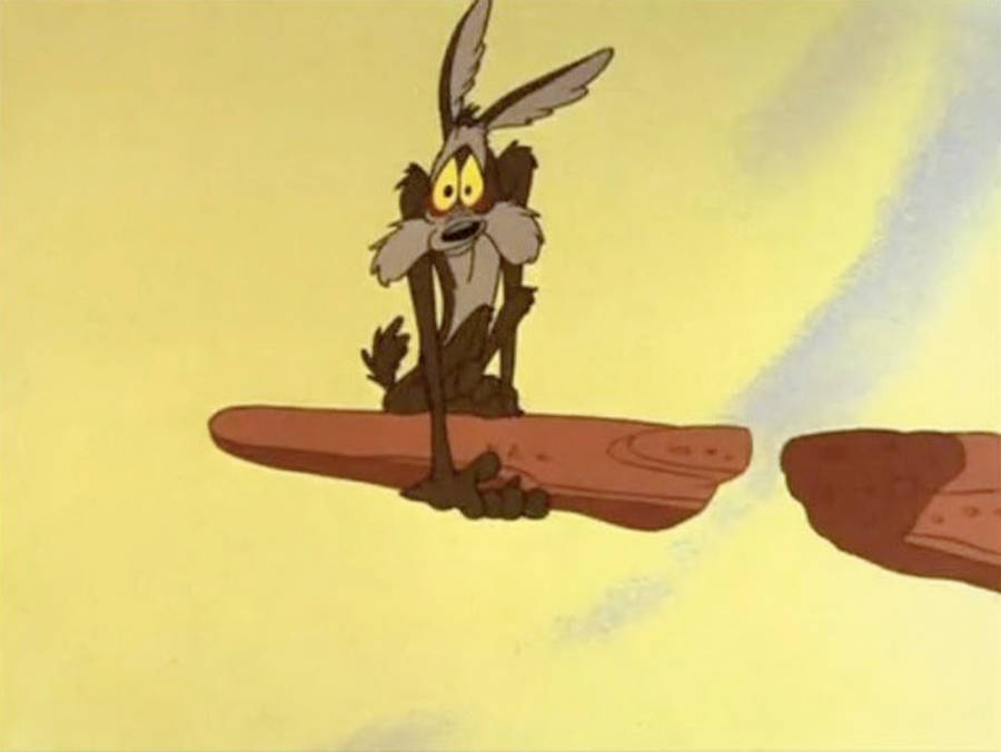 Wile E Coyote On Broken Cliff Wallpaper