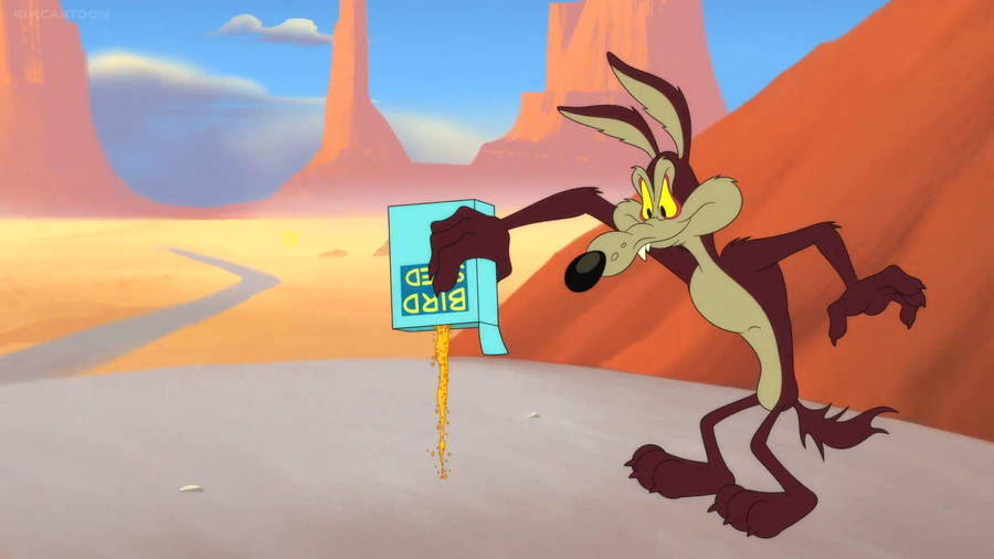 Wile E Coyote With Bird Seed Box Wallpaper
