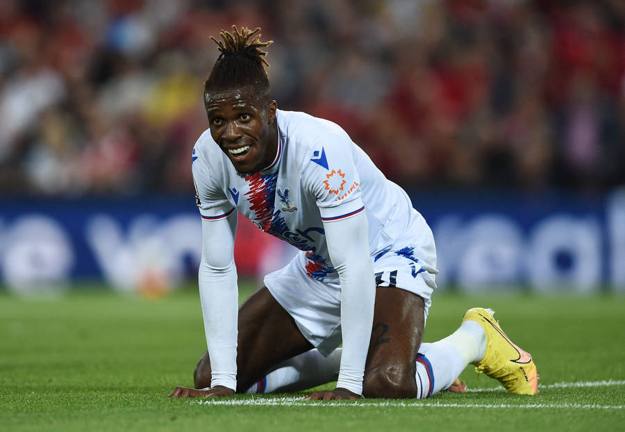 Wilfried Zaha Kneeling On Grassy Field Wallpaper